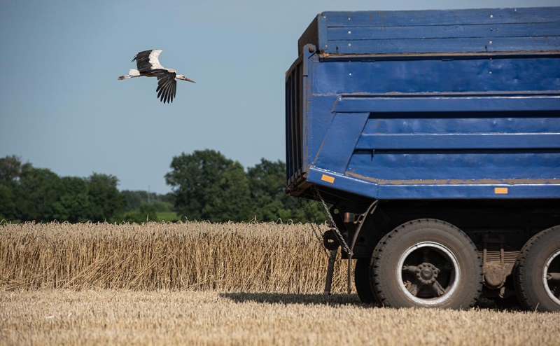 Bloomberg узнал о тайных встречах Эрдогана с лидерами G20 из-за зерна