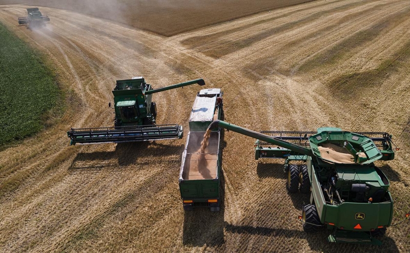 Bloomberg узнал о тайных встречах Эрдогана с лидерами G20 из-за зерна