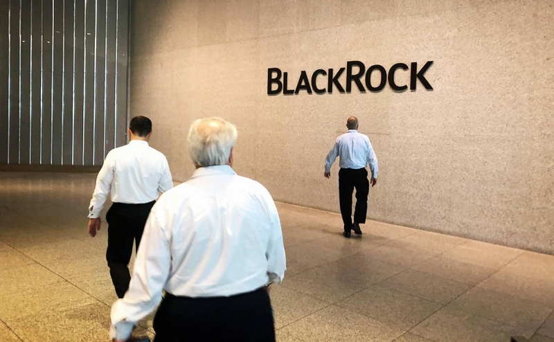 Bloomberg узнал об отказе BlackRock искать деньги на Украину из-за