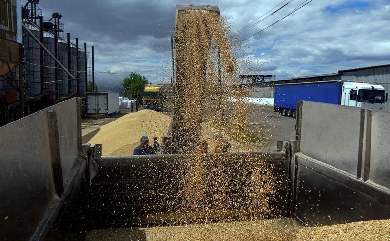 Болгария временно запретит импорт украинского зерна