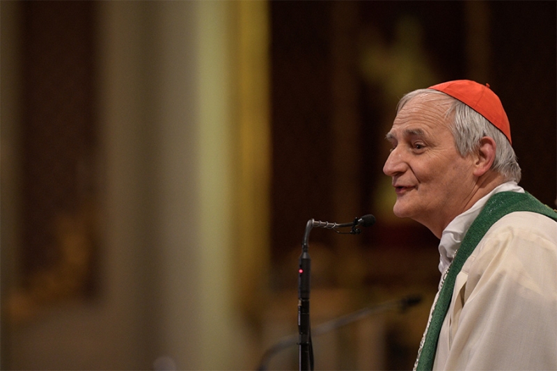 «Борьба континентов»: кто может стать преемником папы Франциска