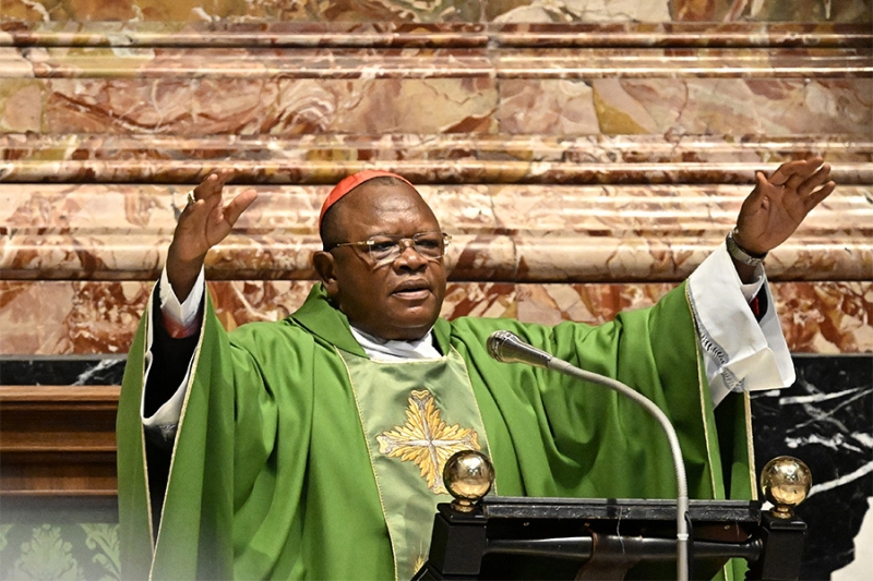 «Борьба континентов»: кто может стать преемником папы Франциска