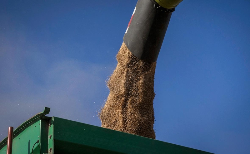 Брюссель призвал Украину перенаправить агроэкспорт из ЕС в другие