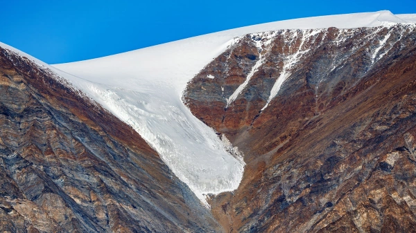 Чемпиона мира по тхэквондо арестовали по делу о конфликте в
