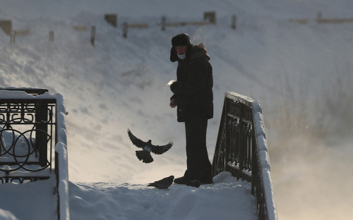 Число финансово пострадавших из-за COVID-19 россиян увеличилось вдвое