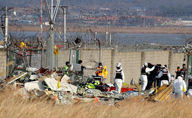 Число жертв крушения лайнера в Южной Корее увеличилось до 124 человек