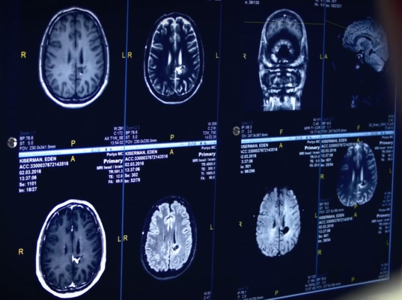 Что альпинисты рассказывали о походе, закончившемся их гибелью