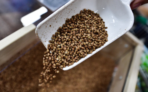 Что изменится в законах в июне