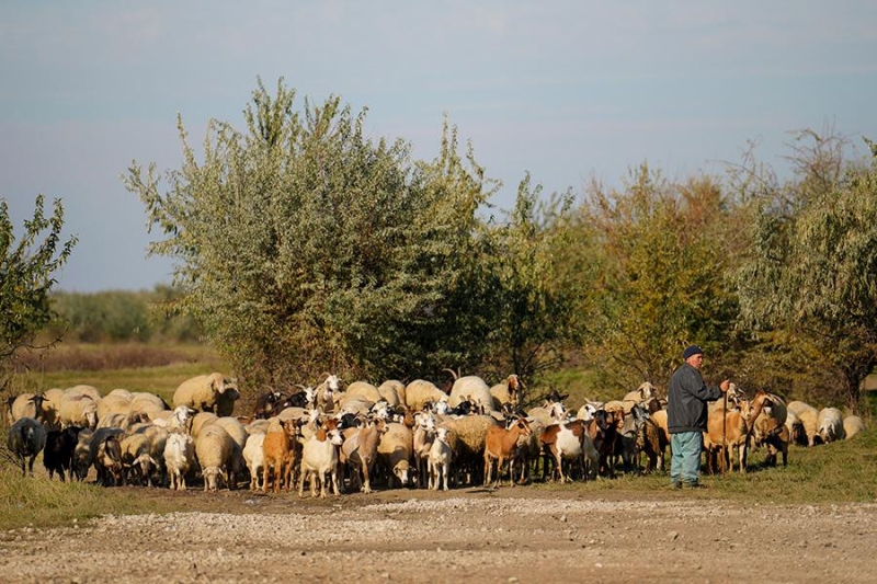 Что такое Гагаузия, суть ее конфликта с Кишиневом, отношения с Москвой