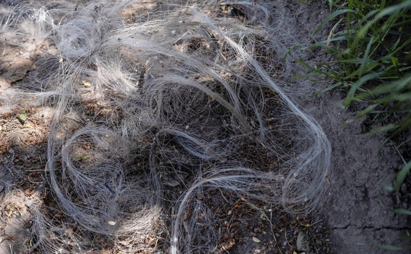 Что такое оптоволоконные дроны: особенности и применение