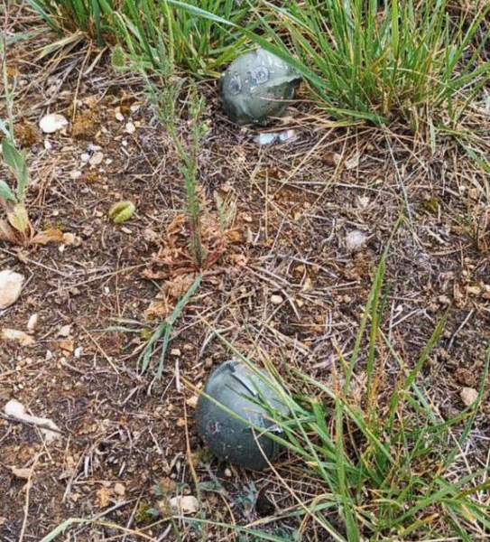 Что такое ракеты ATACMS, которыми ВСУ ударили по Севастополю