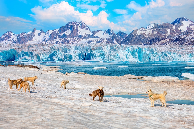 Что вы знаете о территориях, которые Трамп хочет присоединить к США