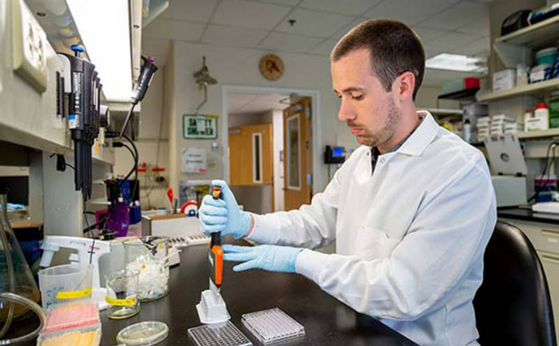 CNN узнал, что администрация Байдена думает о версиях происхождения CO