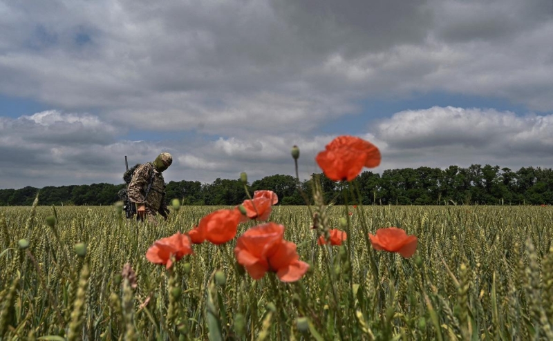 CNN узнал о неоправдавшихся ожиданиях Запада от контрнаступления