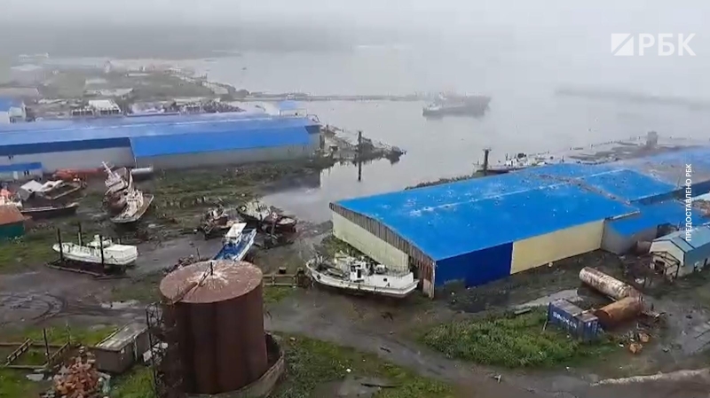 Цунами вымыло с рыбзавода на Курилах тонны лосося и гребешка