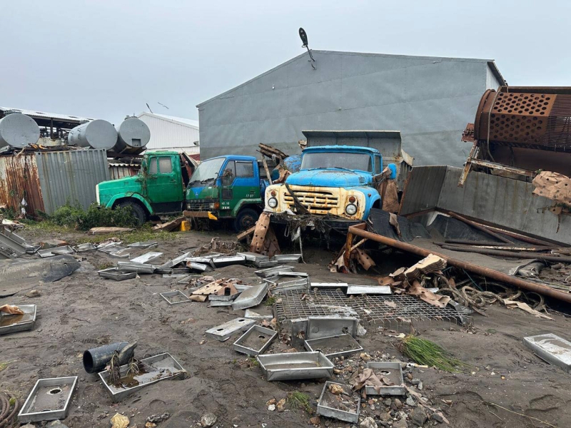 Цунами вымыло с рыбзавода на Курилах тонны лосося и гребешка