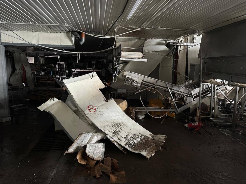 Цунами вымыло с рыбзавода на Курилах тонны лосося и гребешка