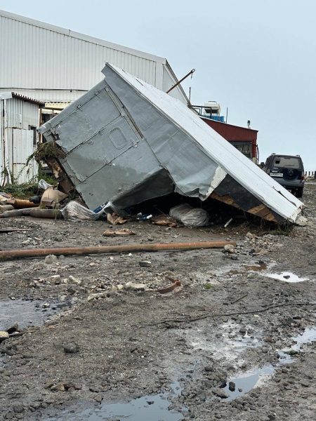 Цунами вымыло с рыбзавода на Курилах тонны лосося и гребешка