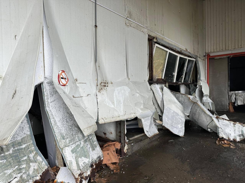 Цунами вымыло с рыбзавода на Курилах тонны лосося и гребешка