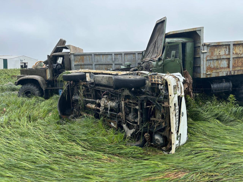 Цунами вымыло с рыбзавода на Курилах тонны лосося и гребешка