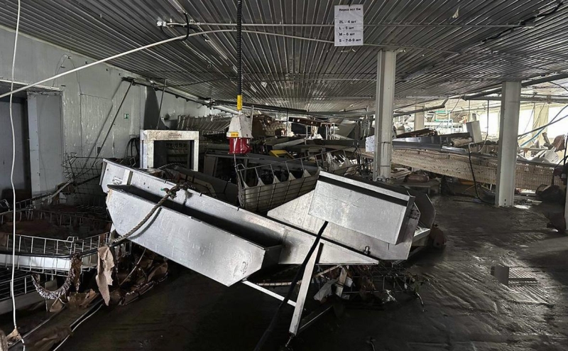 Цунами вымыло с рыбзавода на Курилах тонны лосося и гребешка