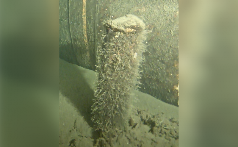 Дания нашла неопознанный цилиндр у трубы «Северного потока»