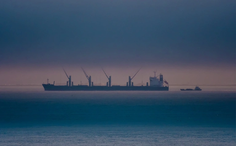 Де Вевер исключил использование активов России без условий Бельгии