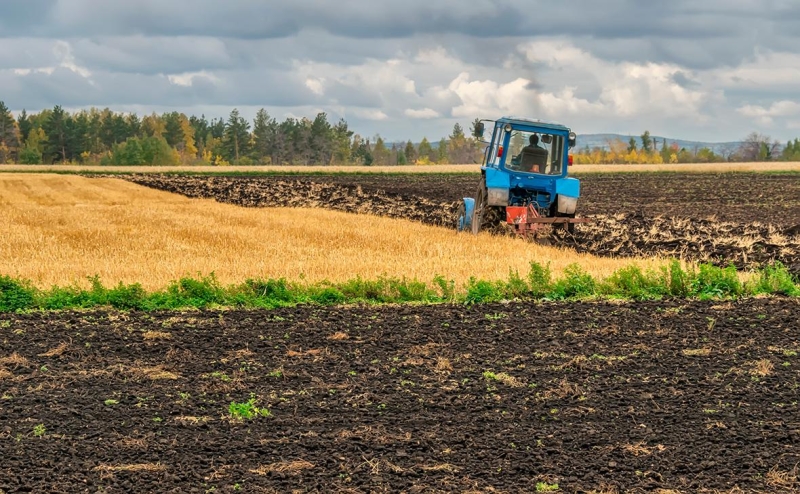 Дело садоводов: что будет с частными участками в парках и заповедниках