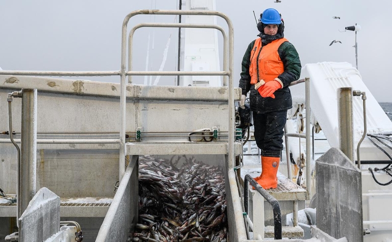 Департамент сотрудничества с Европой переименовали в департамент