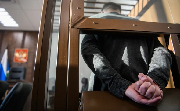 Депутаты предложили признавать иноагентами за поддержку решений МУС