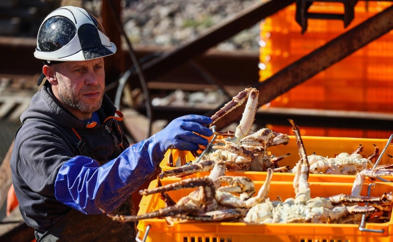 Добытчики крабов обеспечили треть прироста кредитов в стране за