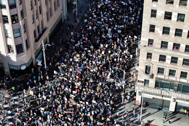 Dogs against DOGE: массовые протесты против Трампа и Маска