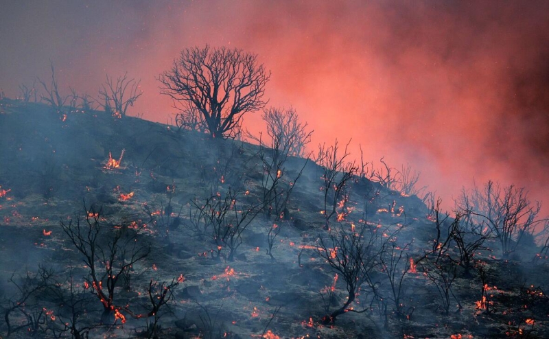 Двое пожарных погибли при стрельбе из засады во время тушения в Айдахо