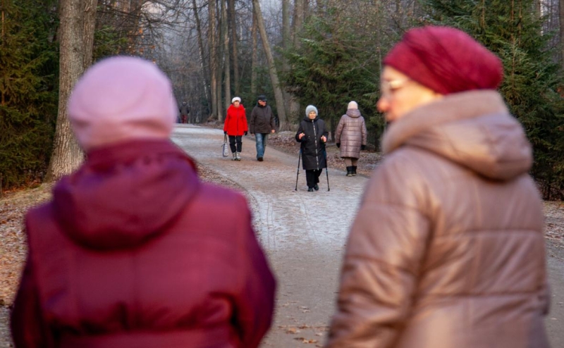 Экономисты предложили вариант изменения пенсионной системы