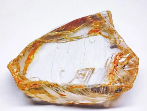 Экс-глава МИД Австрии переедет из рязанской деревни в Петербург