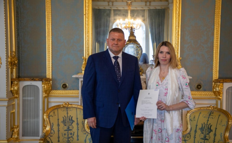 Экс-главком ВСУ Залужный описал, какими будут войны в 21 веке