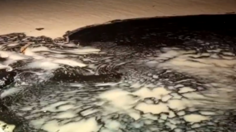 Экс-министр экологии оценил угрозу здоровью при отдыхе на&nbsp;Черном&nbsp;море