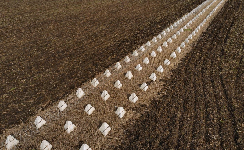 Экс-помощник президента США назвал возможную линию перемирия на