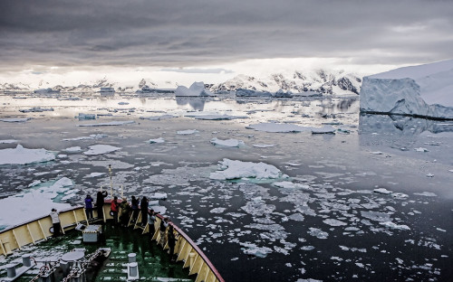 Эксперты назвали основные риски экологической политики России