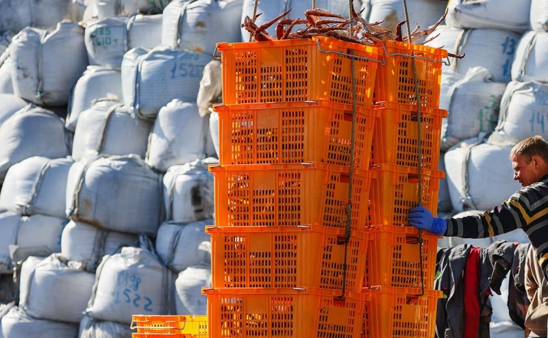 Эксперты назвали «самое забавное» в санкциях США против