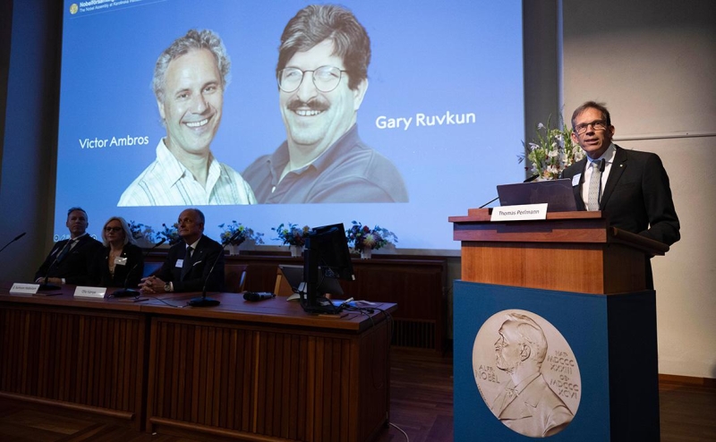 Эксперты объяснили, за что дали Нобелевскую премию по медицине