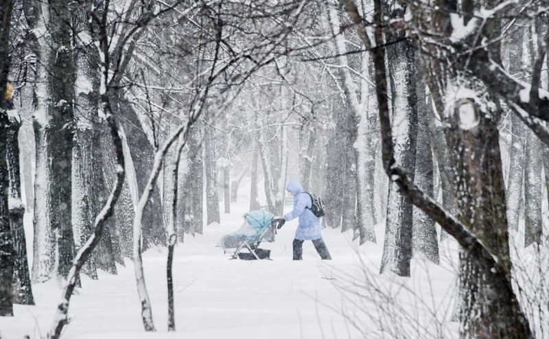 Эксперты оценили, как изменились планы россиян по рождению детей