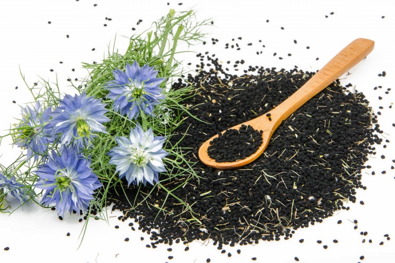 Эксперты оценили пользу чернушки посевной в&nbsp;борьбе с&nbsp;коронавирусом