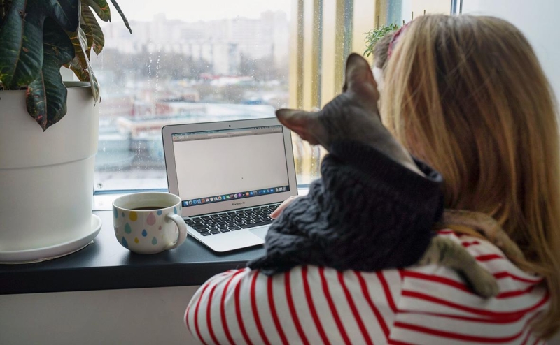 Эксперты оценили последствия сбоя в Рунете