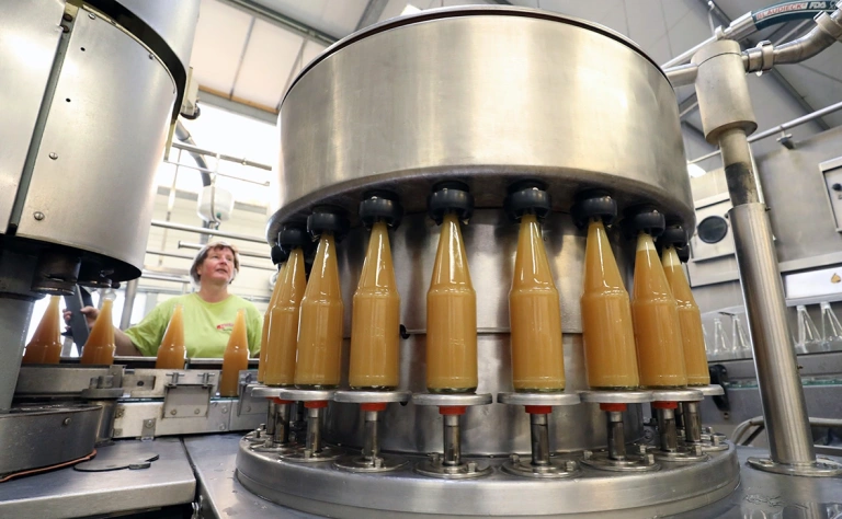 Эксперты РАНХиГС назвали сроки перехода к росту рождаемости в России