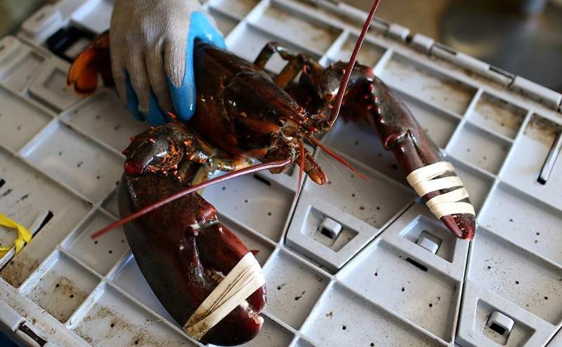 Эксперты спрогнозировали смену ключевых покупателей российского угля