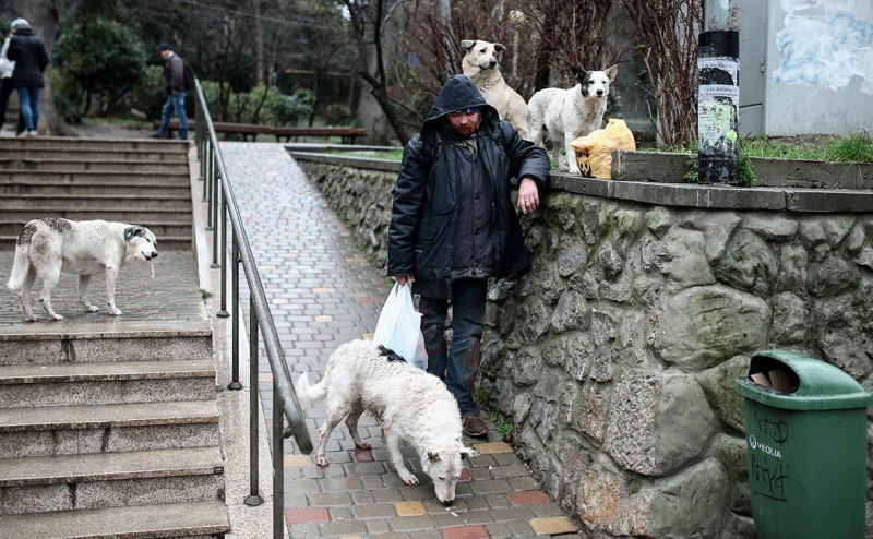 Эксперты впервые рассчитали «индекс смертности» бездомных в России