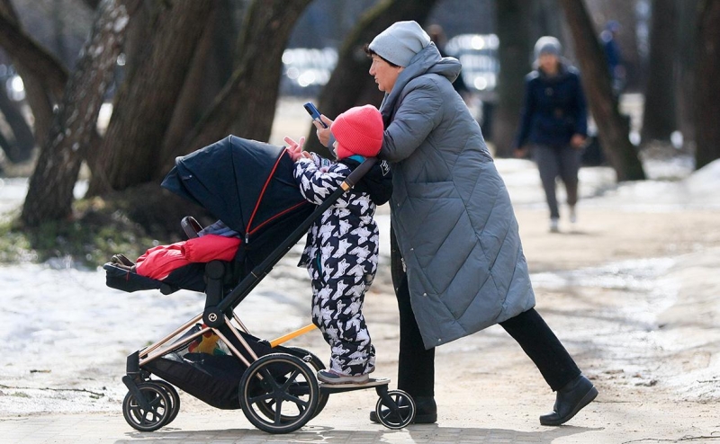 Эксперты ВШЭ описали дилемму поддержки рождаемости в России