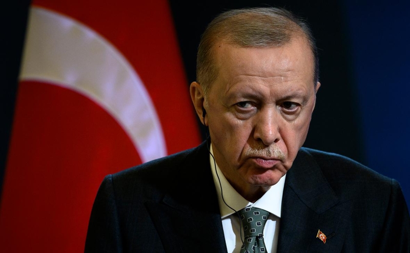 Эрдоган посоветовал Зеленскому не упускать возможность контакта с