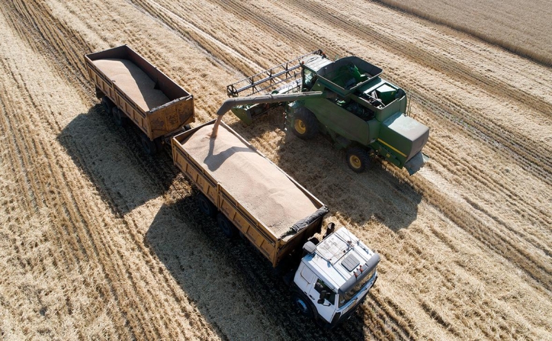 ЕС рассматривает введение пошлины на пшеницу из России. Что это значит